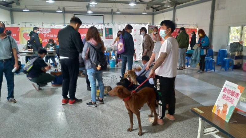 獸醫師到厝邊偏鄉毛孩就醫不用愁　高市偏鄉巡迴犬貓絕育服務加值 