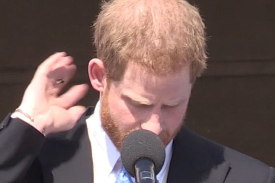 Prince Harry attacked by bothersome bee as he paid tribute to the Prince of Wales at palace garden party