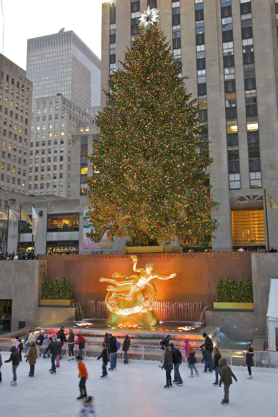 a large christmas tree in a plaza