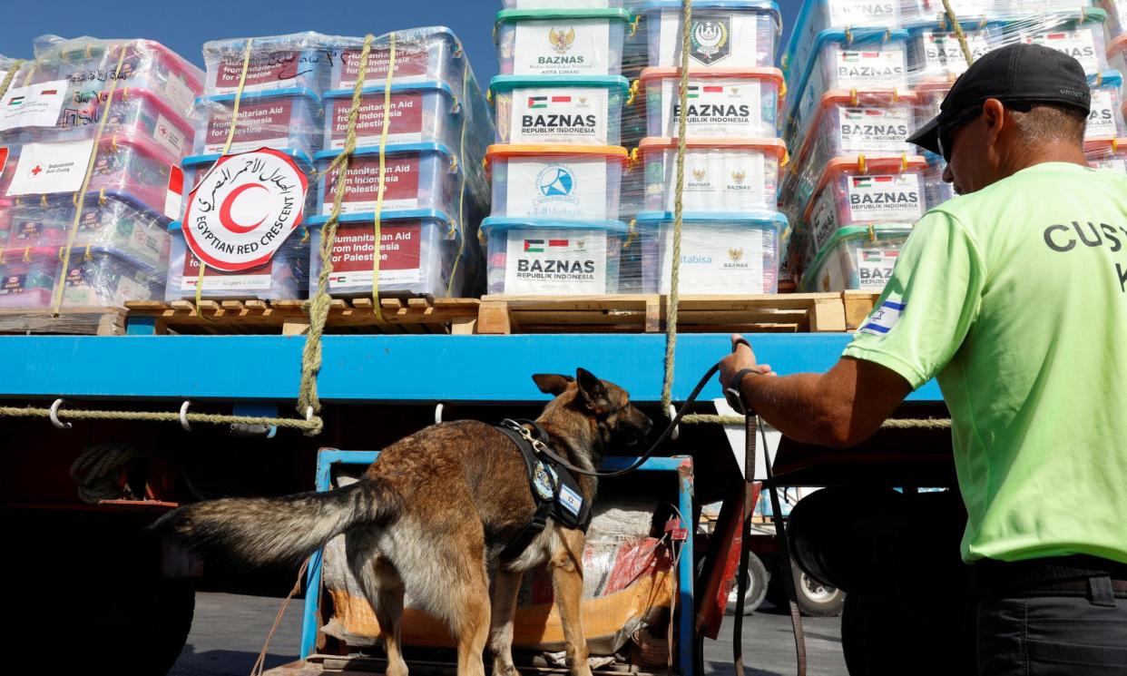<span>Lorries loaded with humanitarian supplies bound for Gaza wait as trucks are screened by Israeli inspectors and sniffer dogs at the Nitzana border crossing in November 2023.</span><span>Photograph: Evelyn Hockstein/Reuters</span>