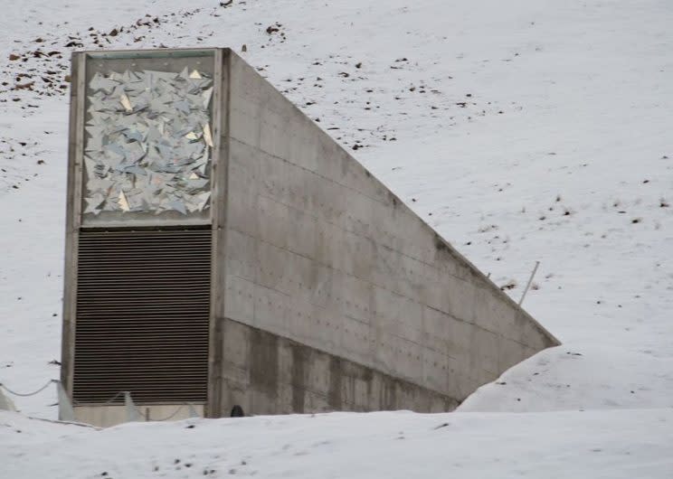 La cámara de semillas en el archipiélago de Svalbard