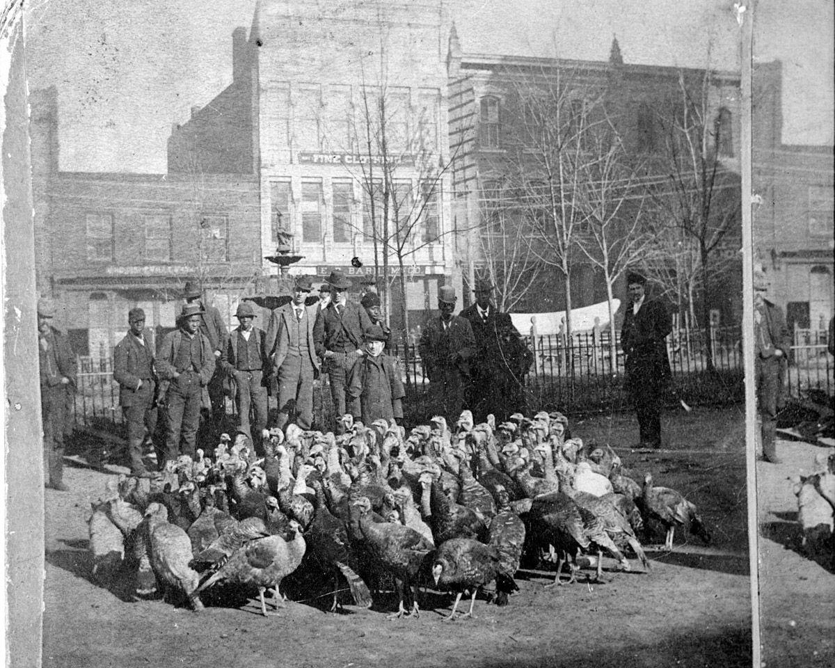 Old photo of turkeys in Asheville, NC;