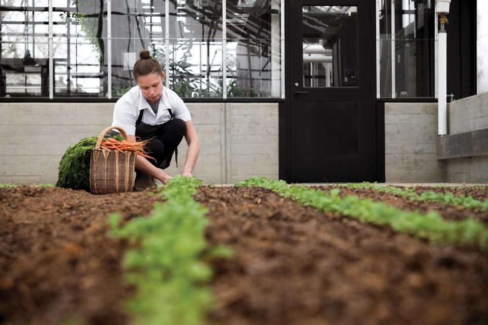 Executive Chef Allison Settle picks carrots for her restaurant, Barn8.