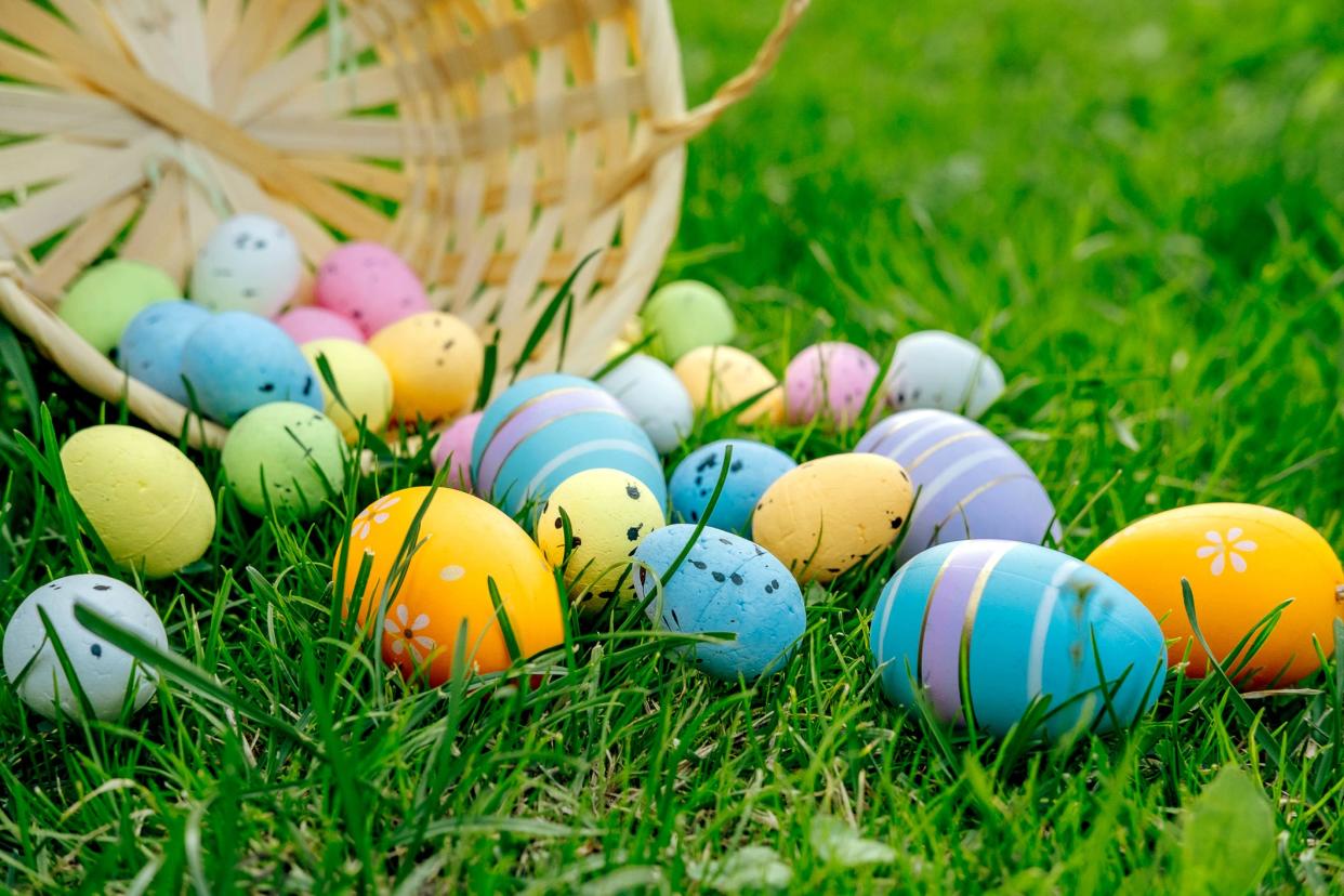 Egg hunts are fun for everyone but could cause issues for curious pets.