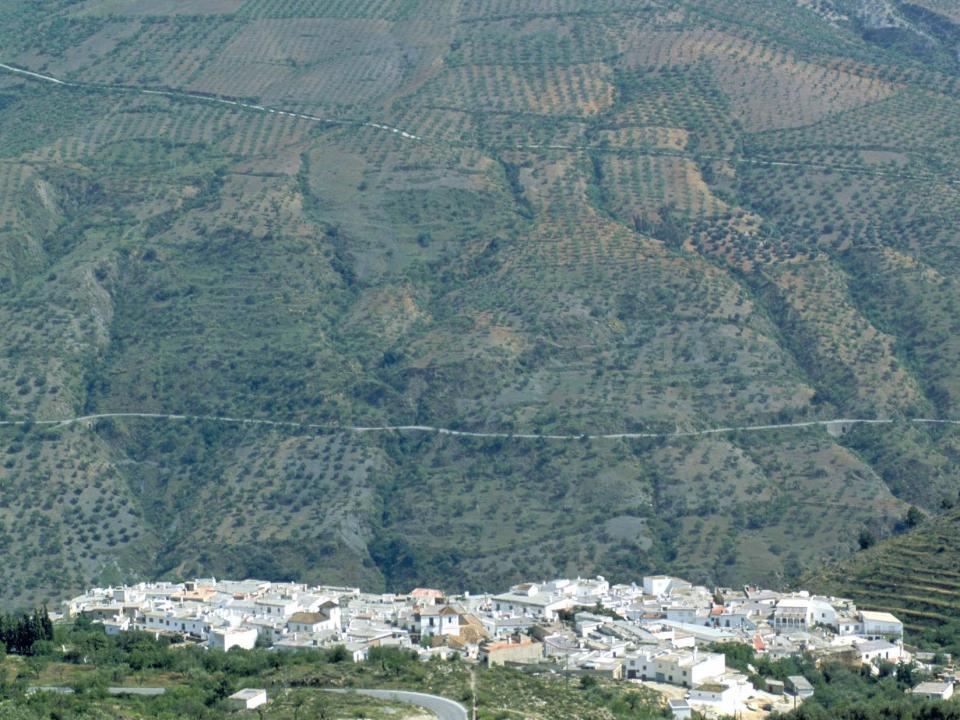 An aerial view of the various crops in the Andalusian area of Spain.