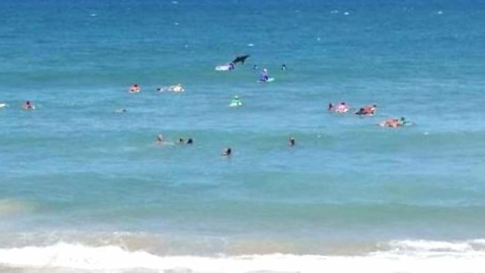Shark Leaping From Sea Terrifies Surfing Mums