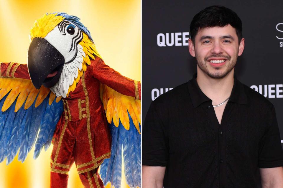 Michael Becker/FOX; Chelsea Guglielmino/Getty Images Macaw; David Archuleta