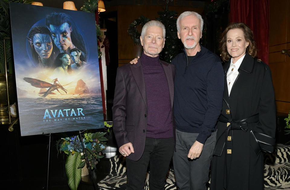 When Does 'Avatar 3' Premiere?