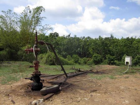 A well head is seen at Limau field in Prabumulih, South Sumatra province, November 21, 2014. REUTERS/Fergus Jensen