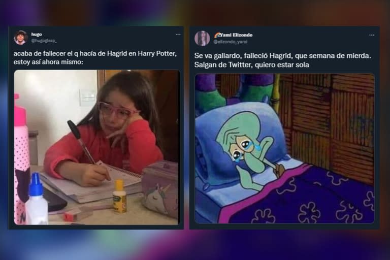 Los usuarios de Twitter expresaron su tristeza por la partida del actor que interpretó al icónico personaje de la saga del mago (Foto: Captura de Twitter)