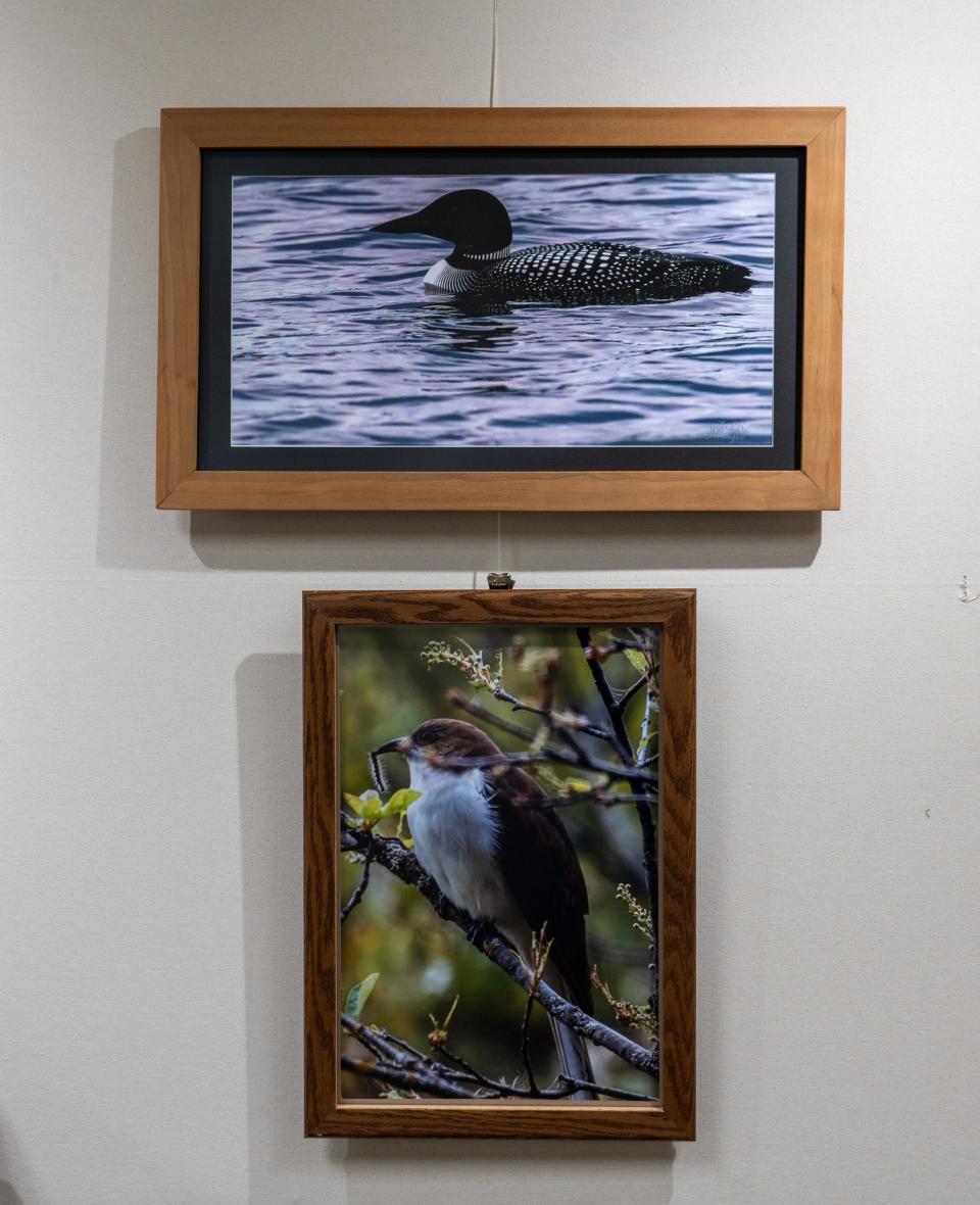 The 2023 Photo Show is on display in our Gallery through July 7 and is being brought to you by the Cheboygan Area Photography Club.