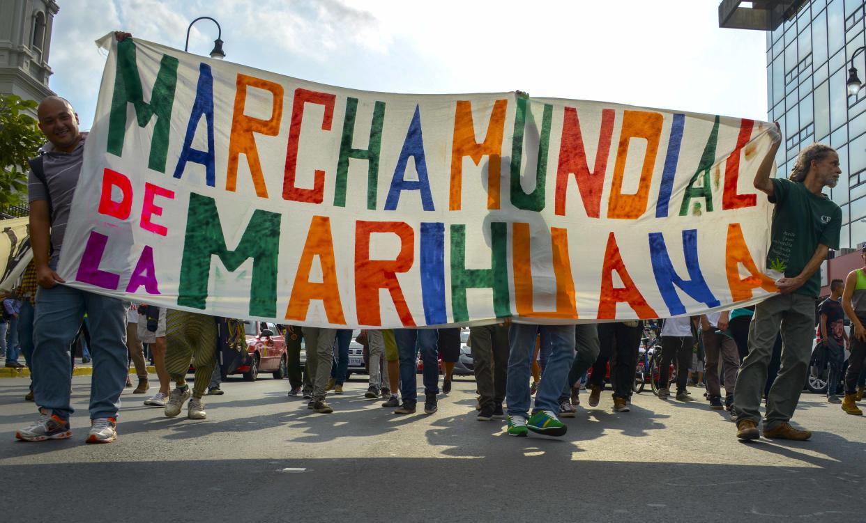 El movimiento por la legalización de la marihuana ha ganado fuerza en los últimos años  (AFP|Ezequiel Becerra)