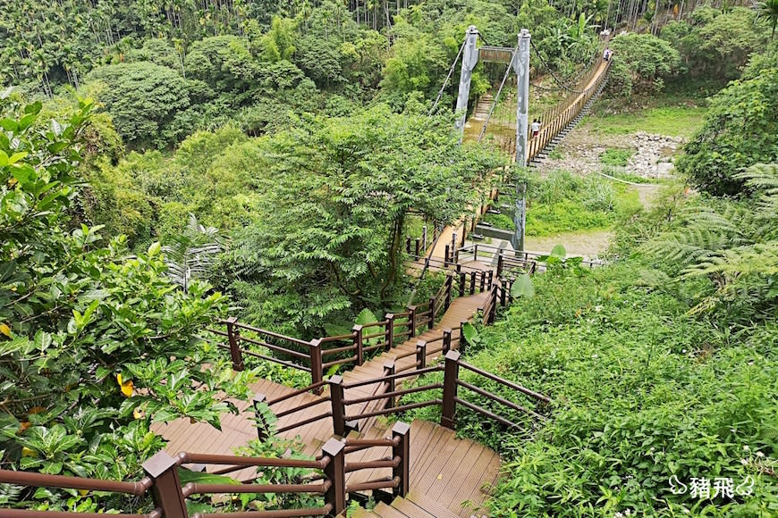 雲林古坑｜華山園區小天梯＆情人橋