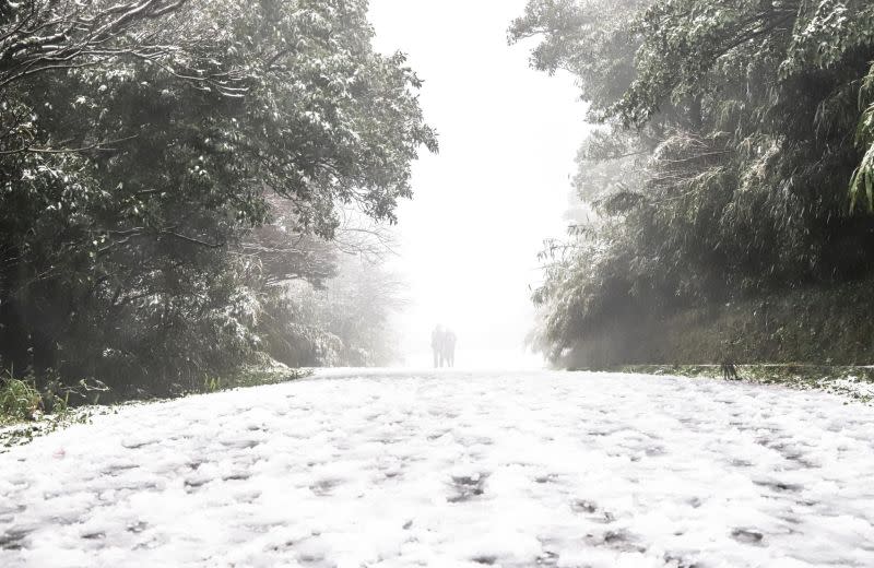 ▲受到寒流影響，今（ 8 ）日台灣不少高山地區都下起皚皚白雪。（圖／NOWNews影像中心攝）