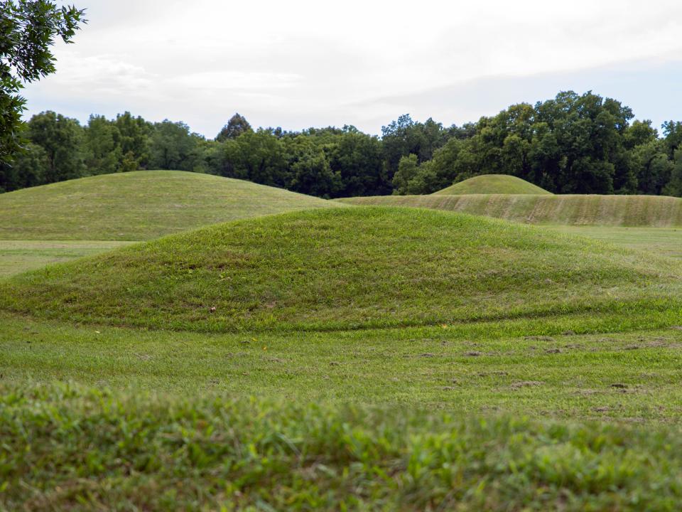 Grassy mounds.