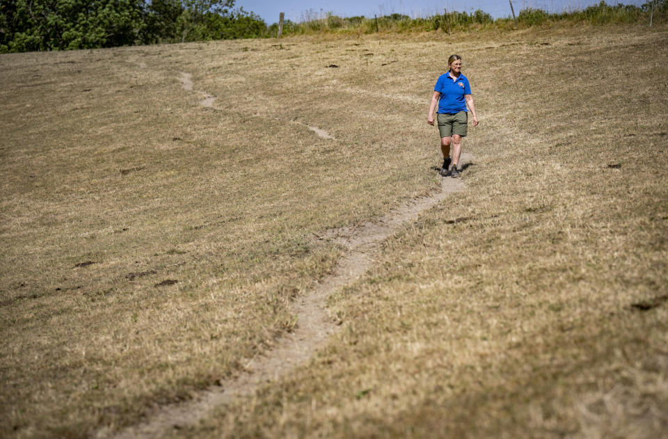 A pasture is dry amid a drought at the farm of Anita Persson on June 9, 2023, outside Horby, Sweden. A lack of rain and rising temperatures have led to dangerously dry conditions across the Nordic and Baltic countries. (Johan Nilsson/TT News Agency via AP)