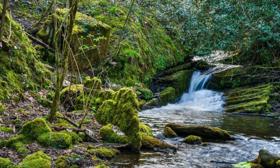 Limb Brook, Ecclesall, Sheffield