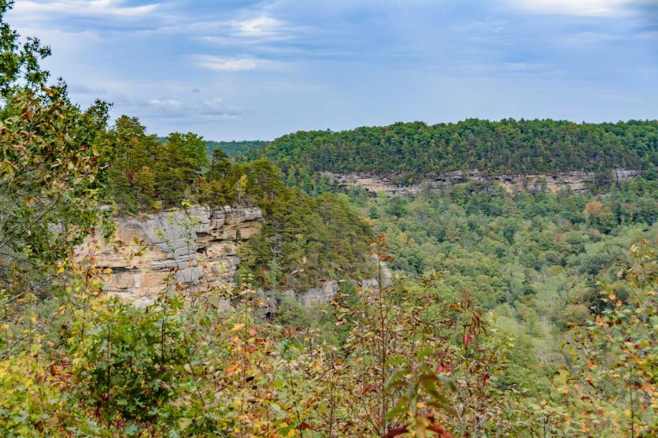 <p><strong>Red River Gorge</strong></p><p>Visitors can see more than 100 natural sandstone arches at the <a href="http://www.redrivergorge.com/" rel="nofollow noopener" target="_blank" data-ylk="slk:Red River Gorge;elm:context_link;itc:0;sec:content-canvas" class="link ">Red River Gorge</a>! Spanning 29,000 acres and located in east-central Kentucky, this gorge lies within the Daniel Boone National Forest. This canyon features sandstone cliffs, rock shelters, waterfalls and natural bridges.</p>