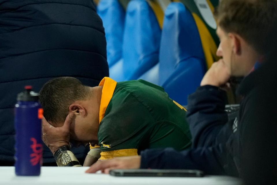 Cheslin Kolbe's late yellow card could have been a disaster for the Springboks (AP)