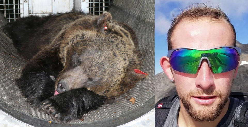 Left: JJ4 bear, and an image of Andrea Papi wearing wrapover sunglasses and hiking gear in a mountainous setting.