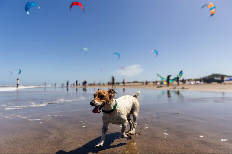 Pinamar volvió a albergar ayer el evento Downwind