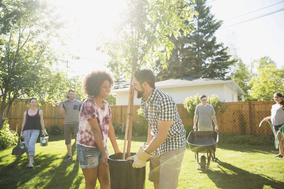 plant a community garden