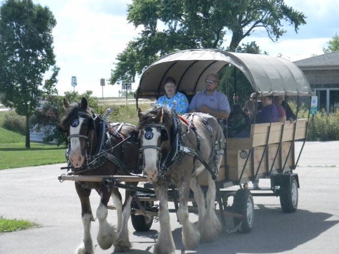 Whisper Hill Clydesdales Special Needs celebrates 20 years in 2024.