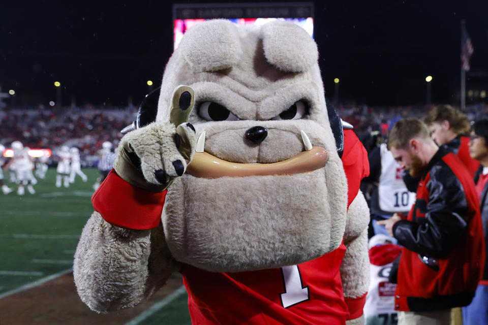 ATHENS, GEORGIA - NOVEMBER 11: UGA mascot, Hairy Dawg reacts during the second half of the game between the Georgia Bulldogs and Mississippi Rebels at Sanford Stadium on November 11, 2023 in Athens, Georgia. (Photo by Todd Kirkland/Getty Images)