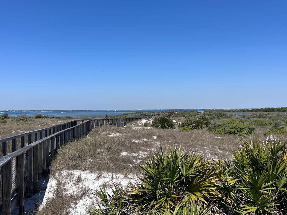 Wooden fence along path on island full of grass and green plants. The patch leads to a beach in the distance, with ocean in the background