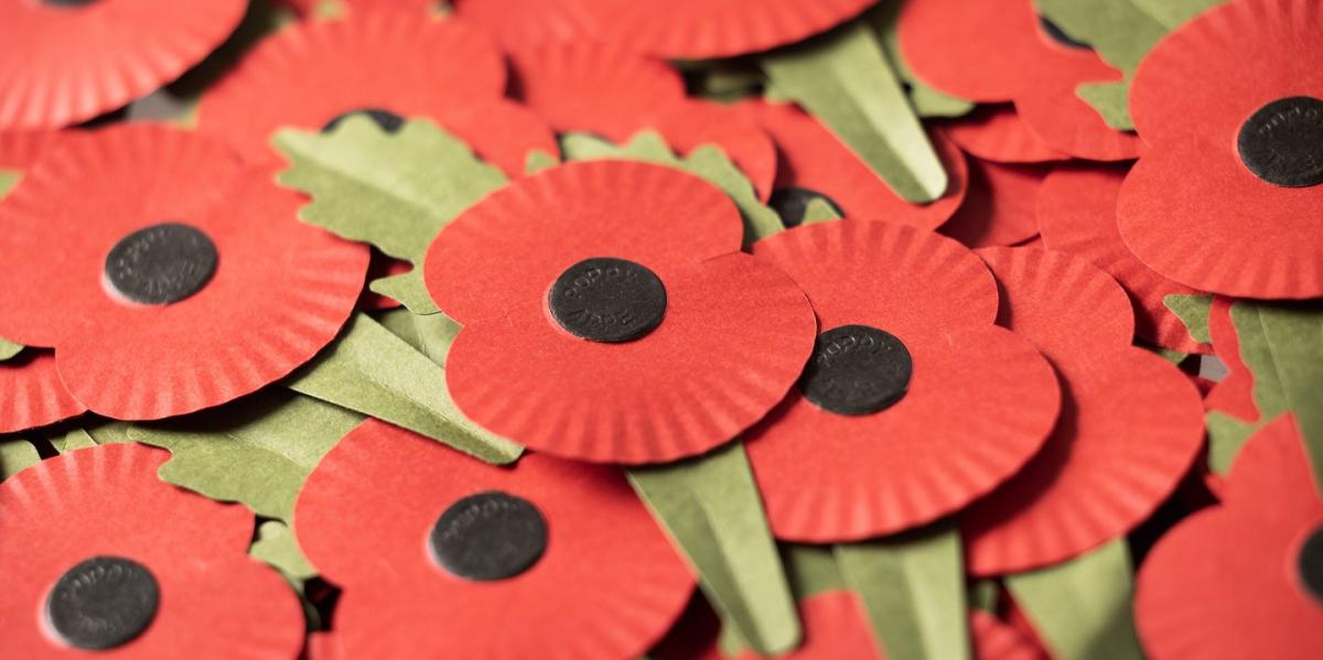 Beach resident selling large tissue paper poppies to raise funds