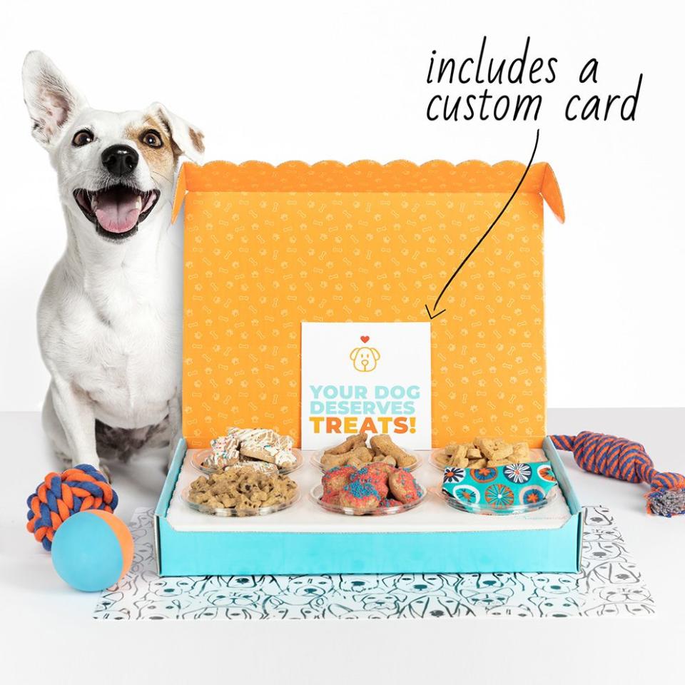 9) The Dog Treat Box