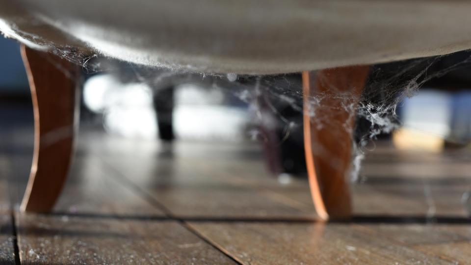  Cobweb underneath armchair on a wooden floor. 