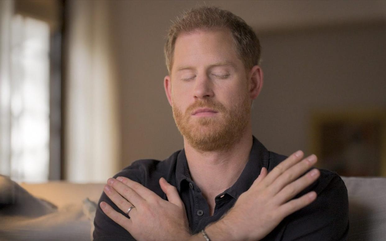 Prince Harry undergoes EMDR therapy during a session with therapist Sanja Oakley - The Me You Can't See