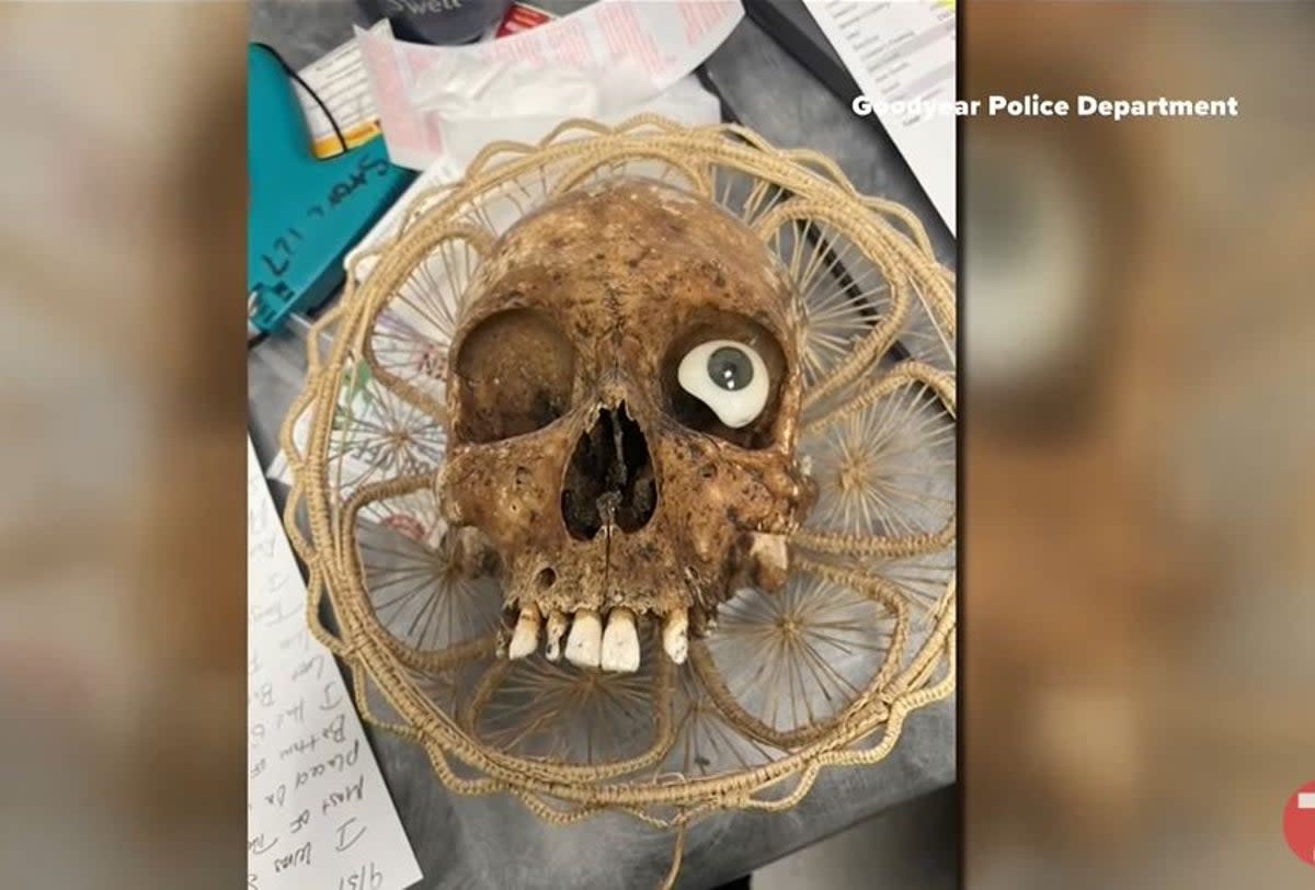 A human skull was discovered in a box of donations to a Goodwill store in Arizona (Screengrab/ KTVB)