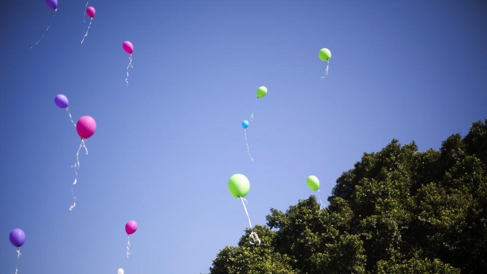 Umweltschützern zufolge sind Luftballons gefährlich für Meeressäugetiere, Vögel und Fische. Foto: Ariel Schalit/AP/Archiv