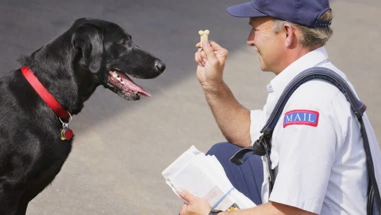Dog Pepper-sprayed by Postal Worker