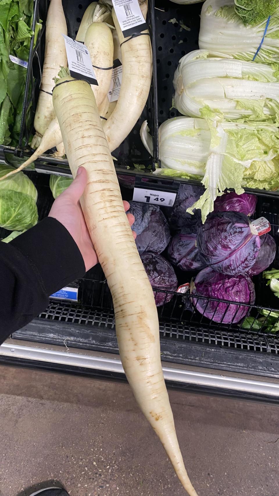 a giant parsnip