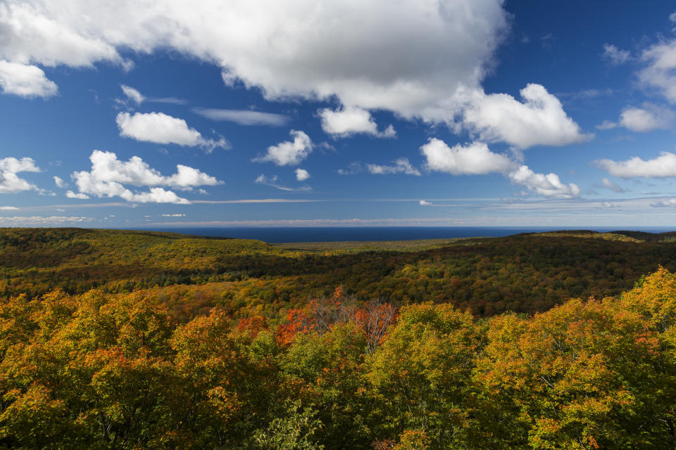 Michigan has racked up 174 total Bigfoot sightings and is the home of the Michigan Bigfoot Information Center.