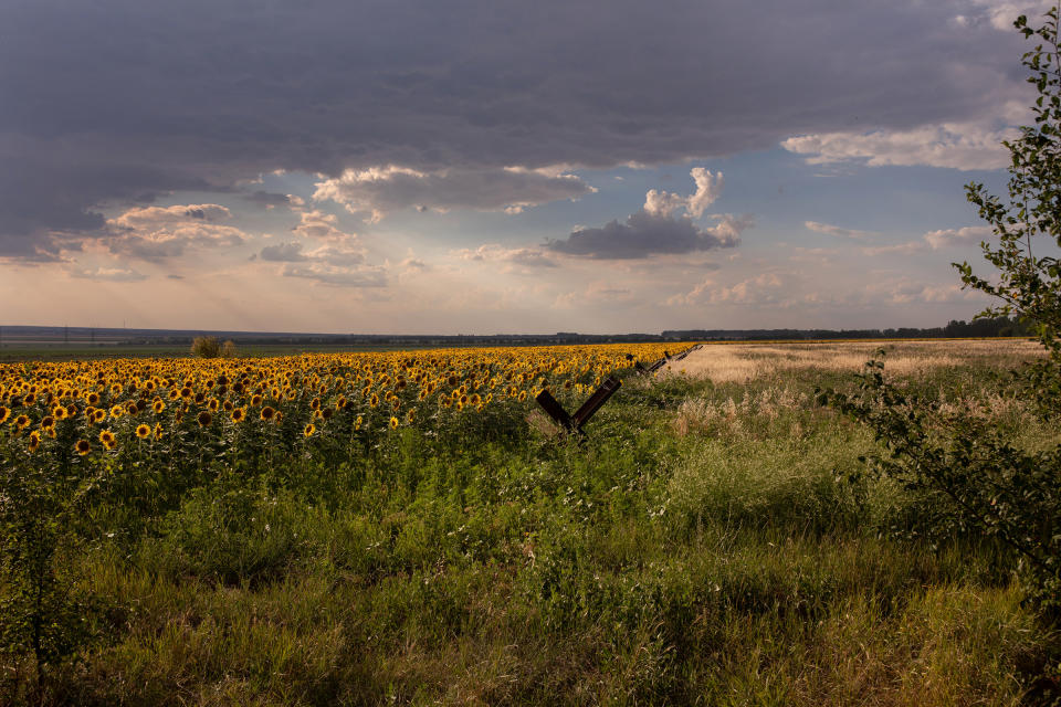 Antitank “hedgehog” devices line a sunflower field outside of Odesa on July 14. The entire region is dotted with defensive positions, check points, and pre-dug trenches, in case of a Russian advance.<span class="copyright">Natalie Keyssar</span>