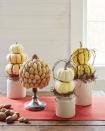 <p>Gather a grouping of these tabletop topiaries down the middle of the table or on a buffet.</p><p><strong>To make the nut topiaries,</strong> lightly spray styrofoam craft balls with brown paint. Once dry, hot glue nuts to styrofoam balls in an orderly pattern, as shown. For the walnut topiary, start with a middle equator row and add rows up and down from there. Add hazelnuts to fill any gaps. For the raw almond topiary, start at the top and work your way down, gluing horizontal rows around the perimeter and overlapping slightly for full coverage. Leave space at bottom to rest on top of candlestick bases. Attach with hot glue, as needed.</p><p><strong>To make the pumpkin and squash topiaries,</strong> remove stems, except for the top pieces. Stack two pumpkins and secure using small wooden skewers or toothpicks. Skewer the bottom piece and place into crocks filled with floral foam. Cover foam with Spanish moss, and finish with grapevine accents.</p><p><a class="link " href="https://www.amazon.com/Anna-Sarah-Almonds-California-Resealable/dp/B08L41NFQK/ref=sr_1_1_sspa?tag=syn-yahoo-20&ascsubtag=%5Bartid%7C10050.g.2063%5Bsrc%7Cyahoo-us" rel="nofollow noopener" target="_blank" data-ylk="slk:SHOP NUTS;elm:context_link;itc:0;sec:content-canvas">SHOP NUTS</a></p>