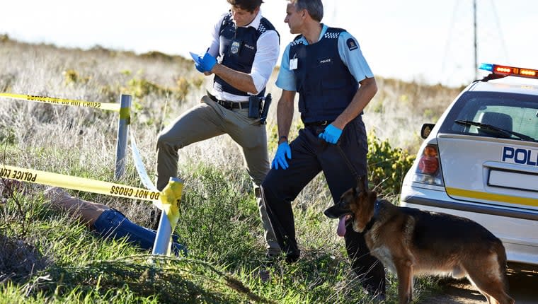 Cadaver Dogs Create Historical Breakthroughs