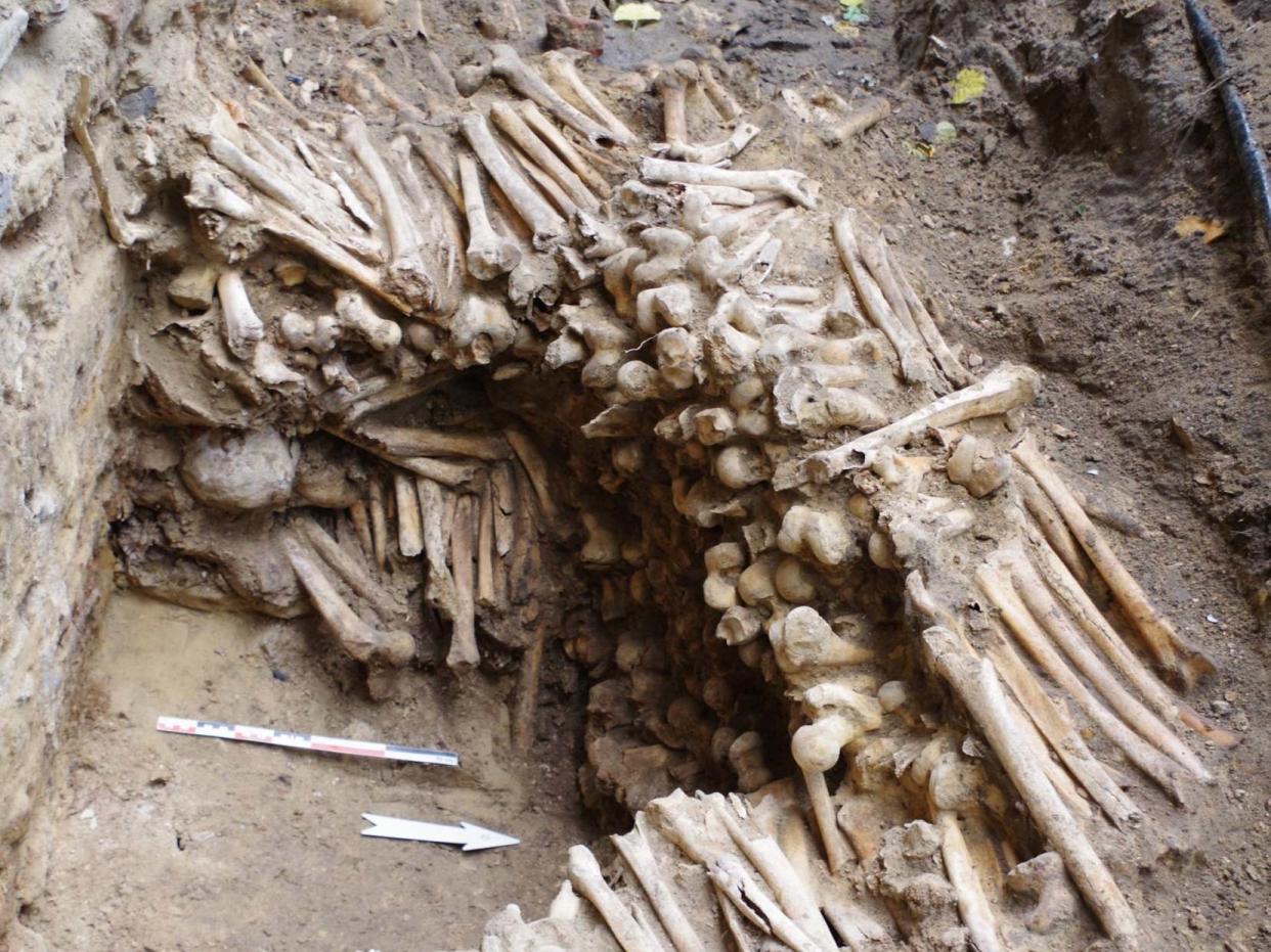 Wall made of human bones and skulls that dates back 500 years ago is unearthed by archaeologists at a Belgian cathedral, Saint-Bavo in the city of Ghent: Ruben Willaert bvba