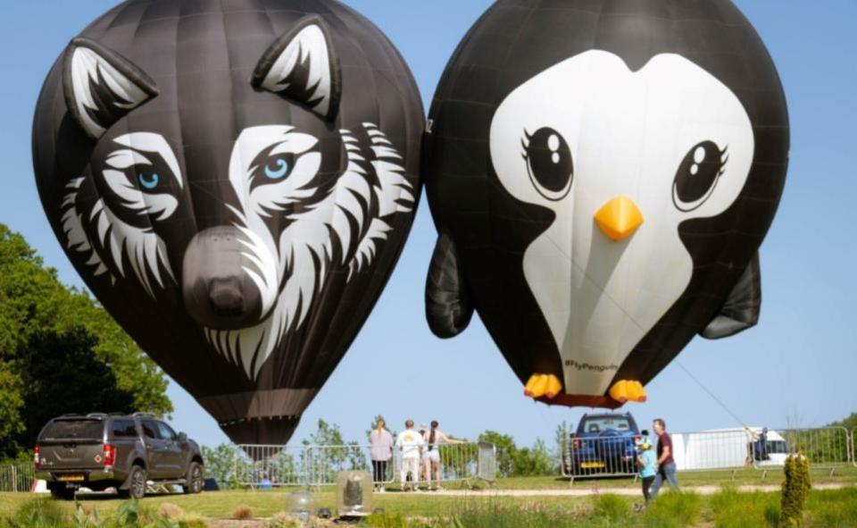 Dorset Echo: Hot air balloons will be descending on Dorchester