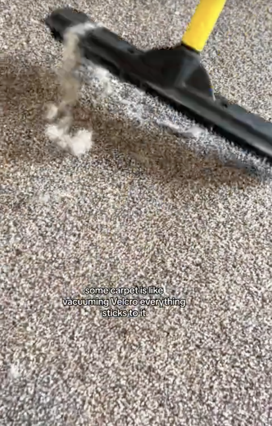 carpet rake is getting out extra hair and debris from the carpet