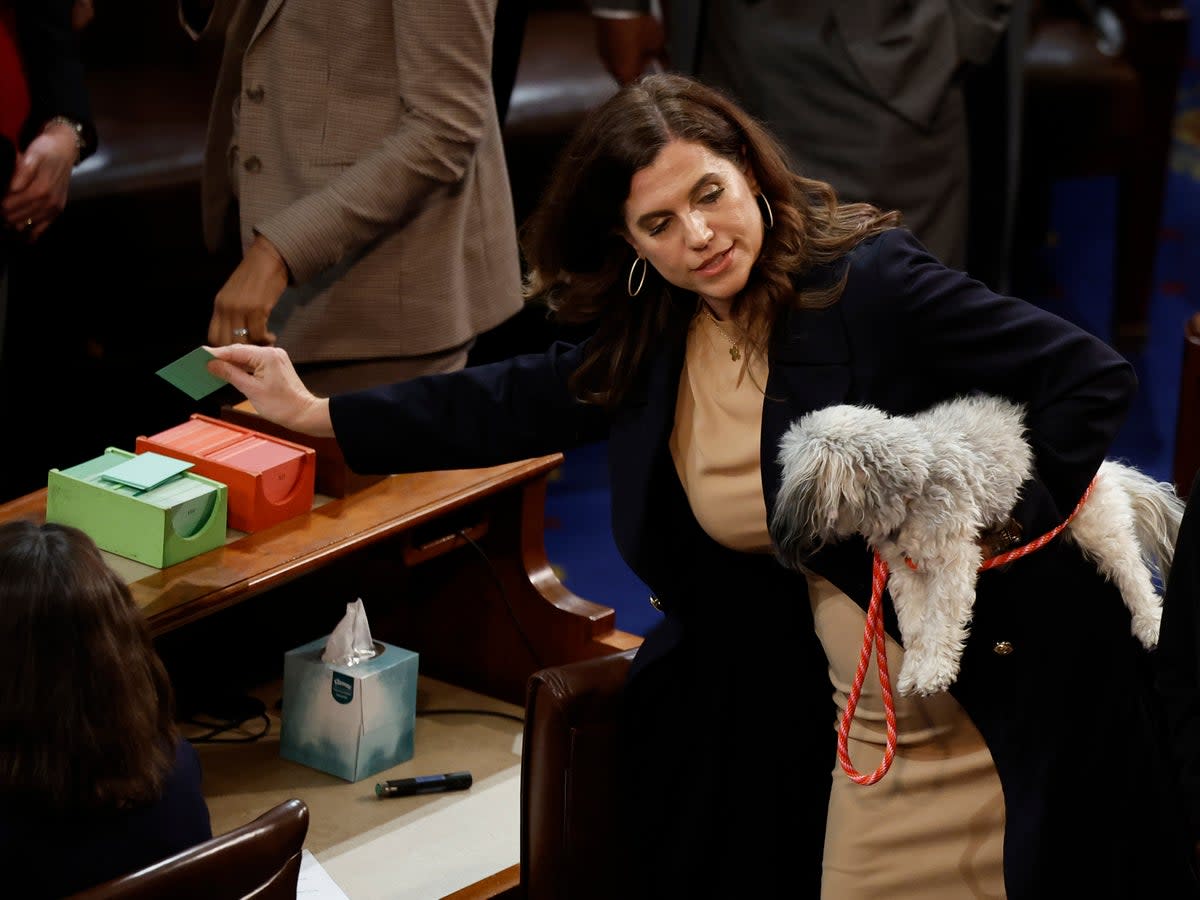 Nancy Mace holds her dog Libby as she casts her vote to adjourn in the House Chamber during the third day of elections for Speaker of the House at the US Capitol Building on 5 January 2023 in Washington, DC (Getty Images)