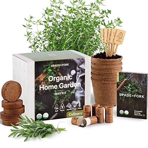 33) Indoor Herb Garden Starter Kit