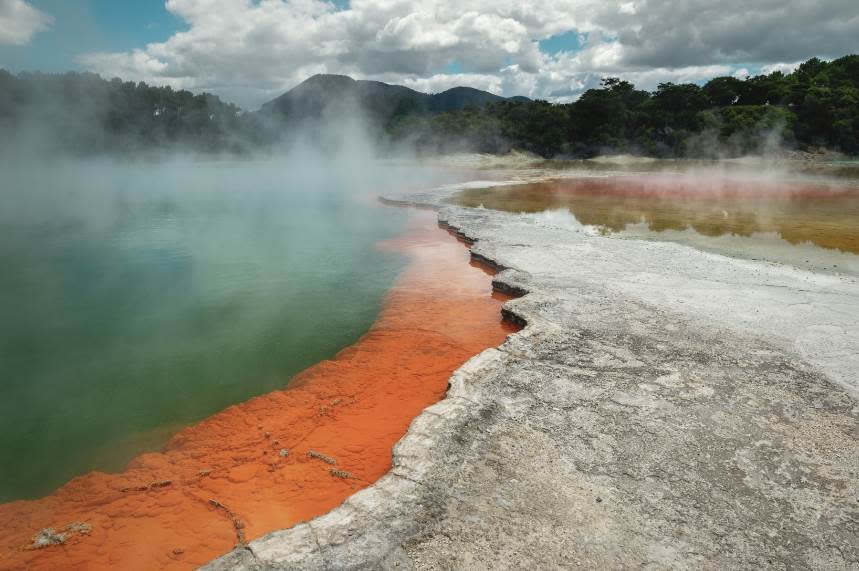 羅托魯阿以熱氣繚繞的間歇泉、冒泡的泥漿池聞名。圖片來源：Booking.com