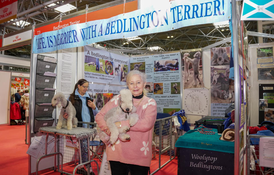 Nancy, a Bedlington Terrier with Sheila Baldwin from Great Yarmouth
