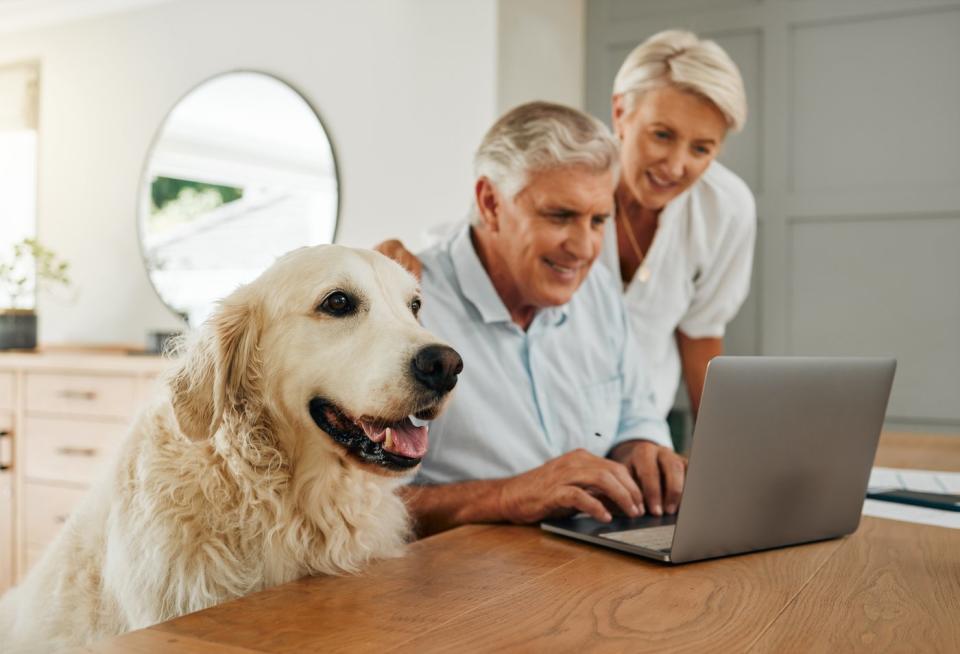 Two people at a laptop with a dog next to them.