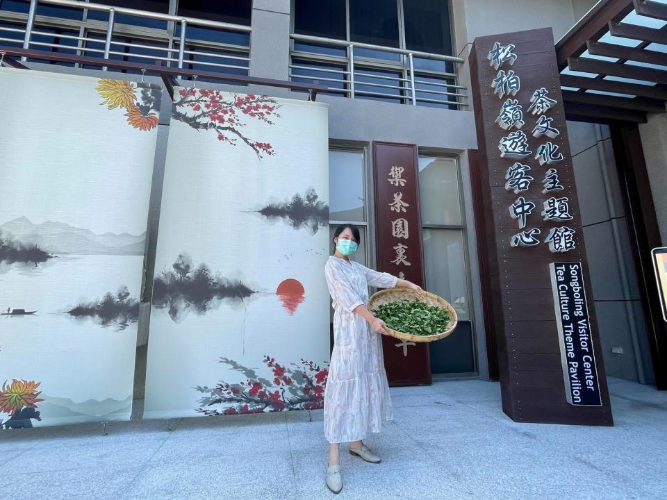 松柏嶺遊客中心變身茶文化主題館。   參山處/提供